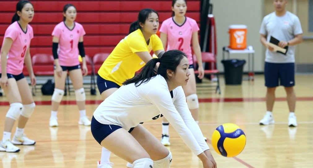 Vietnam Women's Volleyball Reception Crisis: The Asiad 20 12-Player Cut Exposes a Structural Weakness Vietnam Women's Volleyball Reception Crisis: The Asiad 20 12-Player Cut Exposes a Structural Weakness