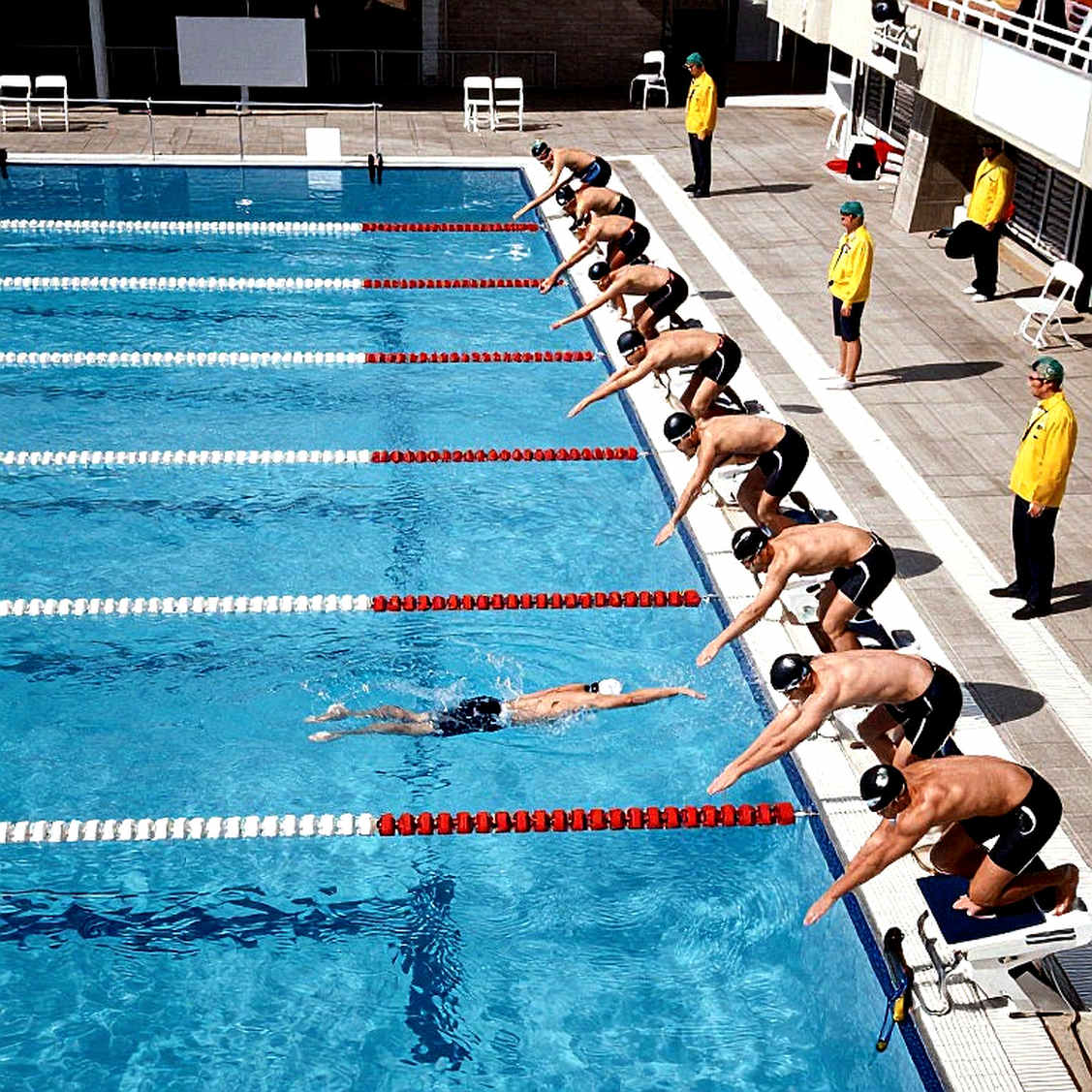 Swimming data analysis reveals lack of specific information at Jose Finkel Trophy