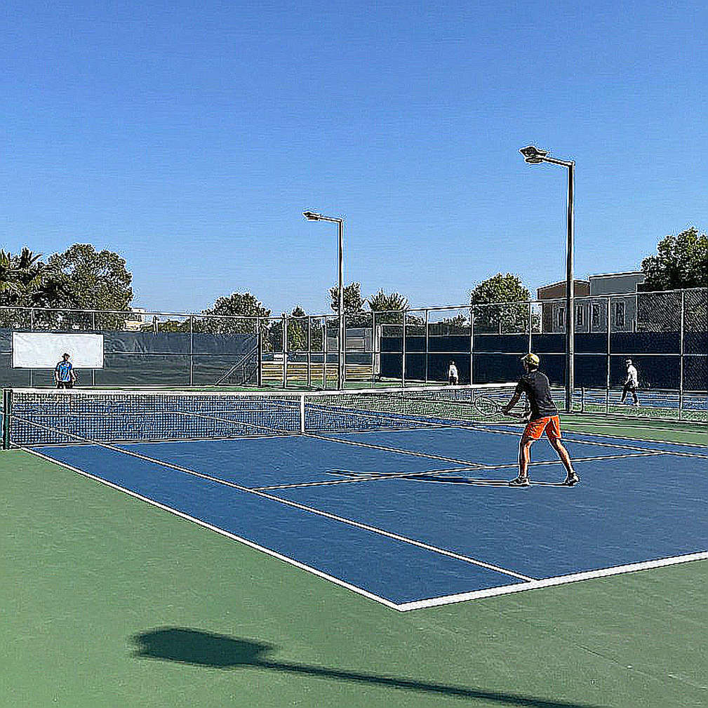 US Open 2026: When the Stadium Becomes a Zoo and the Victim is Focus